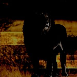 Meet your Posher, Zachery